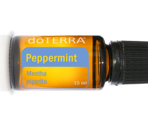 Peppermint_Essential_Oil_Dottera